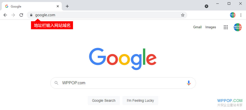 如何选择一个优质的外贸网站域名?【附案例】 - 优化推广 - 2 外贸网站域名